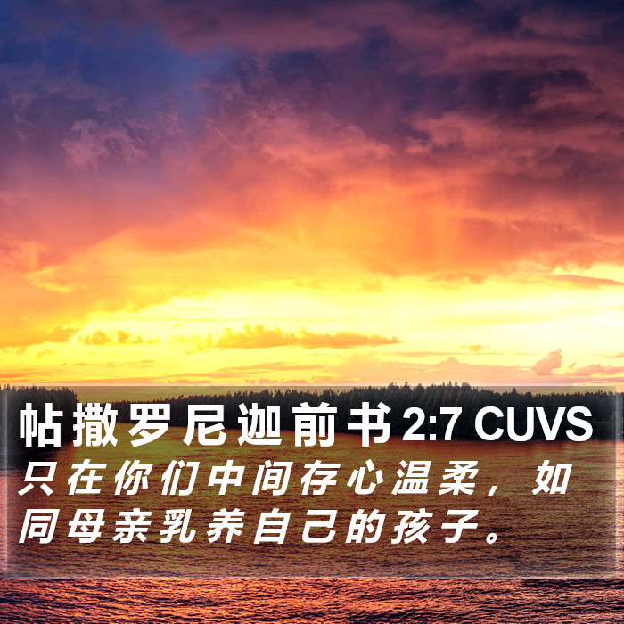 帖 撒 罗 尼 迦 前 书 2:7 CUVS Bible Study