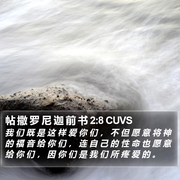 帖 撒 罗 尼 迦 前 书 2:8 CUVS Bible Study