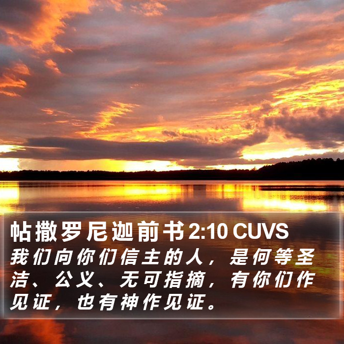 帖 撒 罗 尼 迦 前 书 2:10 CUVS Bible Study