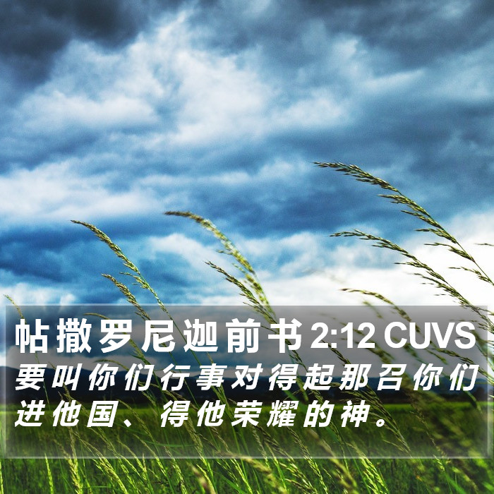 帖 撒 罗 尼 迦 前 书 2:12 CUVS Bible Study