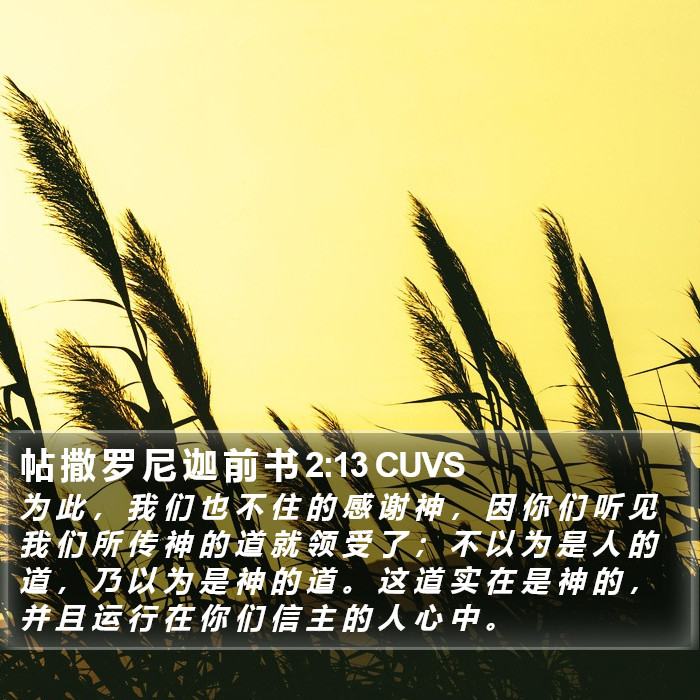 帖 撒 罗 尼 迦 前 书 2:13 CUVS Bible Study