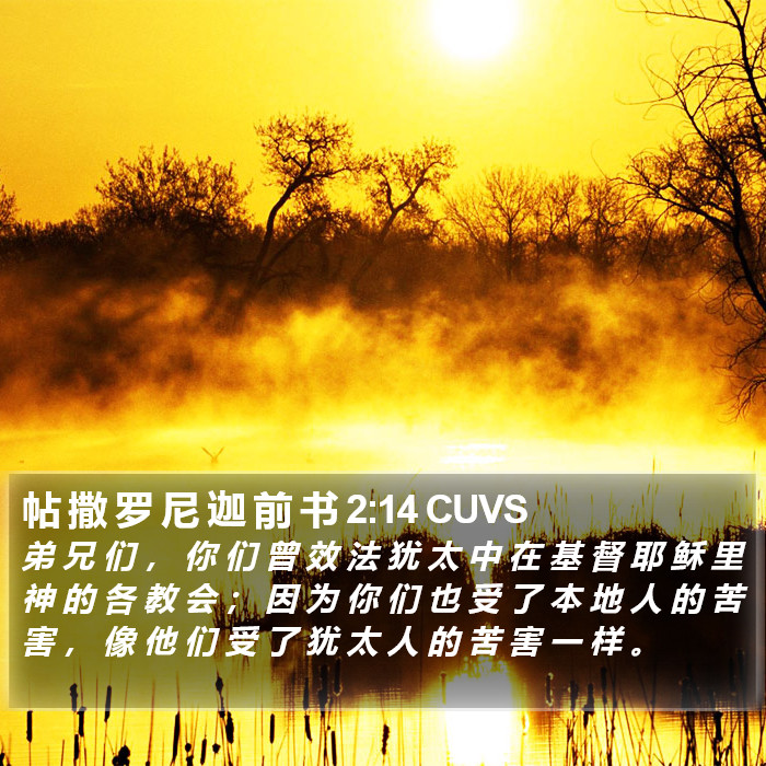 帖 撒 罗 尼 迦 前 书 2:14 CUVS Bible Study