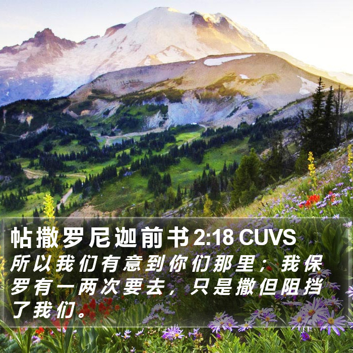 帖 撒 罗 尼 迦 前 书 2:18 CUVS Bible Study