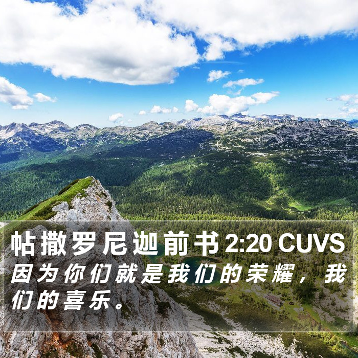 帖 撒 罗 尼 迦 前 书 2:20 CUVS Bible Study