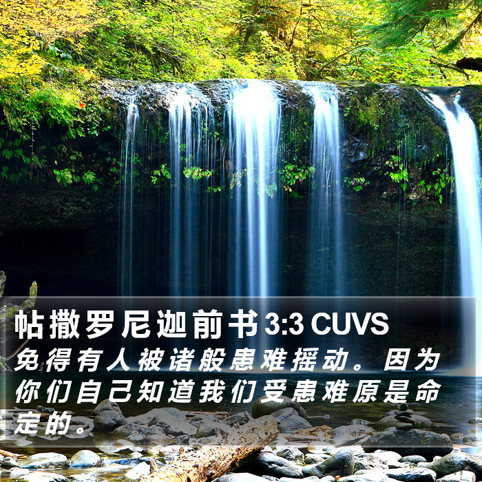帖 撒 罗 尼 迦 前 书 3:3 CUVS Bible Study