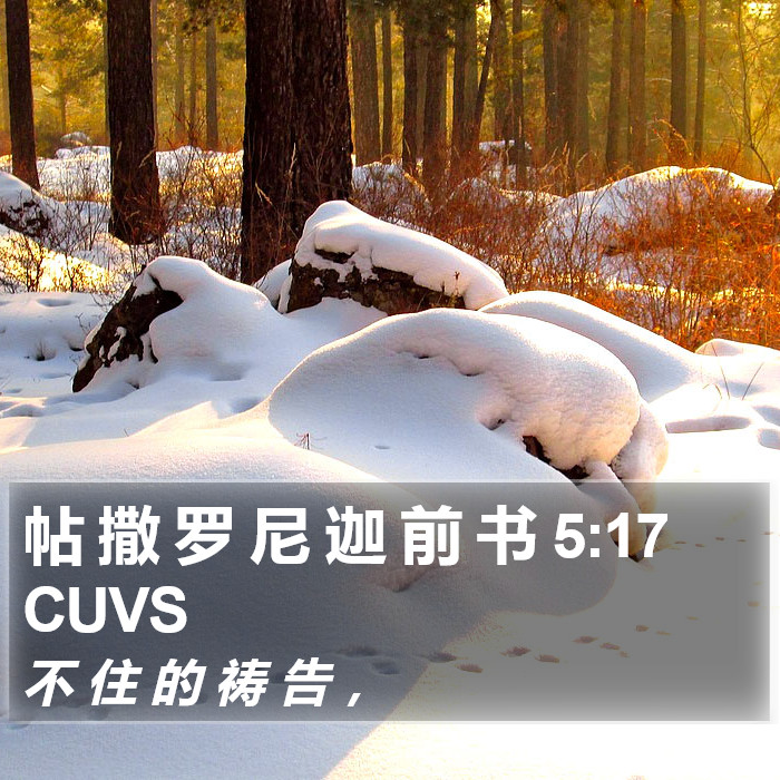 帖 撒 罗 尼 迦 前 书 5:17 CUVS Bible Study
