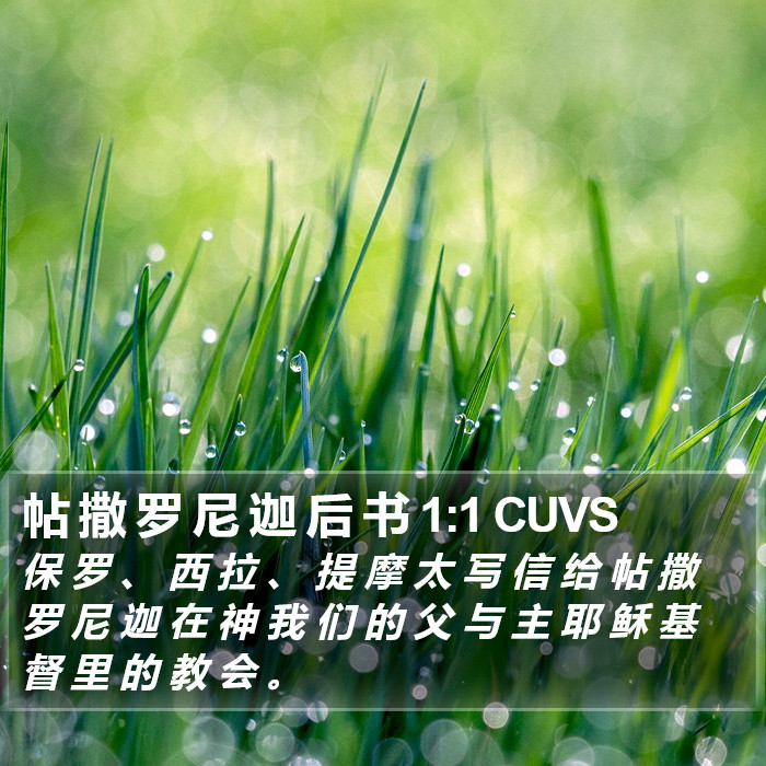 帖 撒 罗 尼 迦 后 书 1:1 CUVS Bible Study