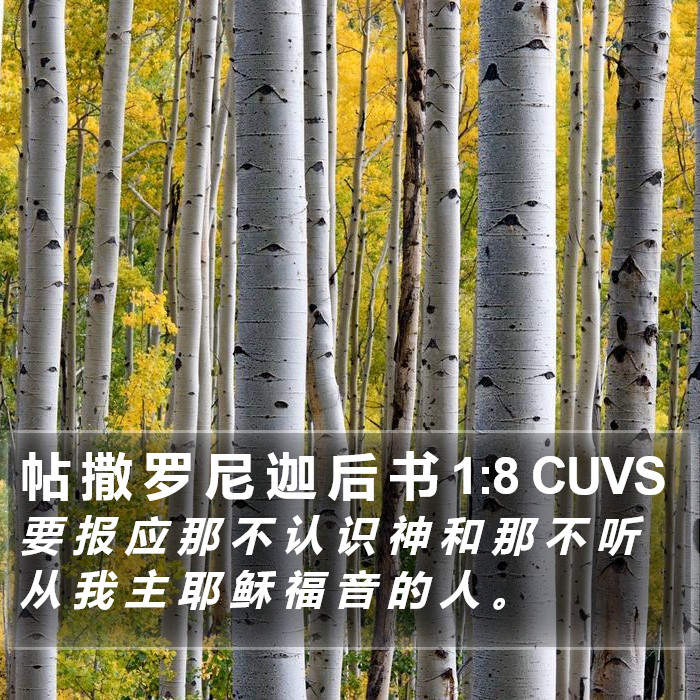 帖 撒 罗 尼 迦 后 书 1:8 CUVS Bible Study