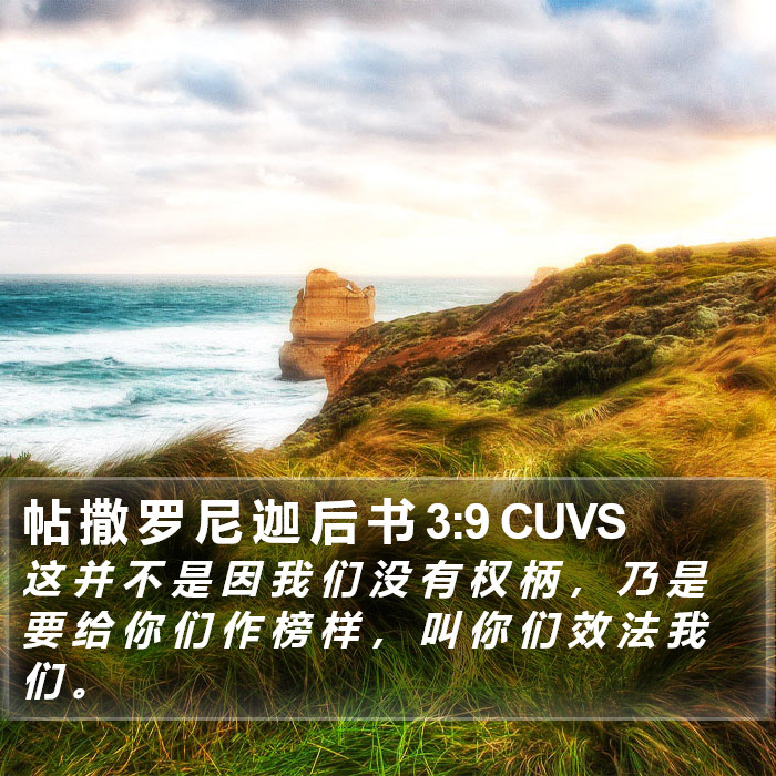 帖 撒 罗 尼 迦 后 书 3:9 CUVS Bible Study