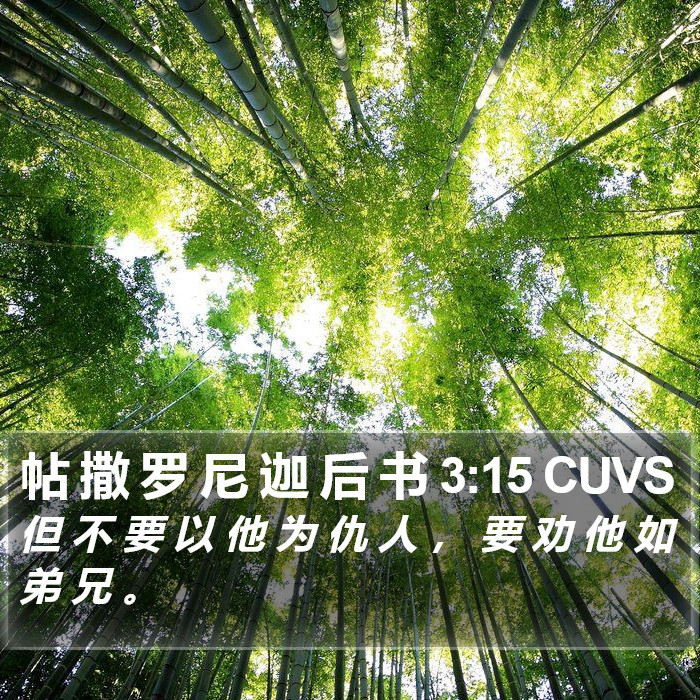帖 撒 罗 尼 迦 后 书 3:15 CUVS Bible Study