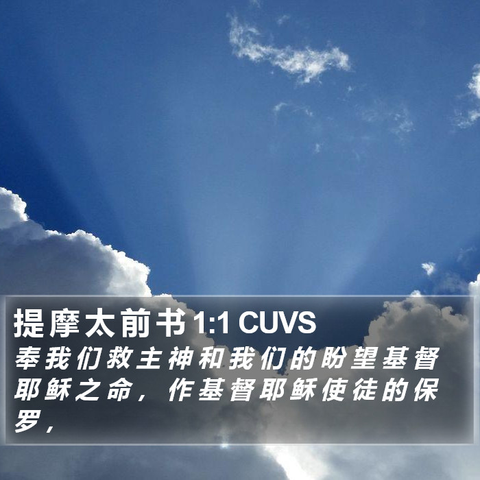 提 摩 太 前 书 1:1 CUVS Bible Study