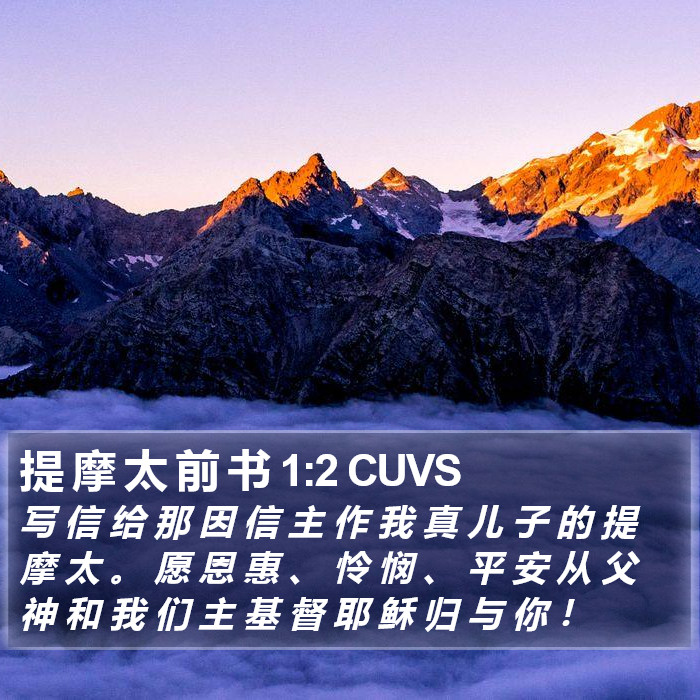 提 摩 太 前 书 1:2 CUVS Bible Study