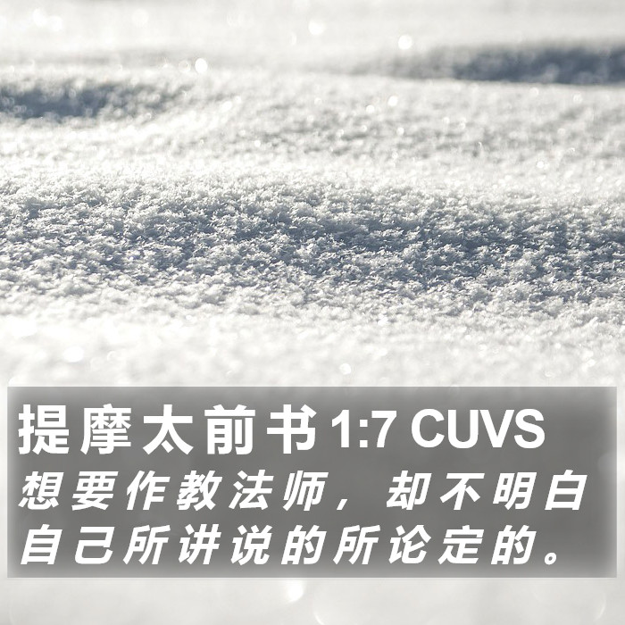 提 摩 太 前 书 1:7 CUVS Bible Study