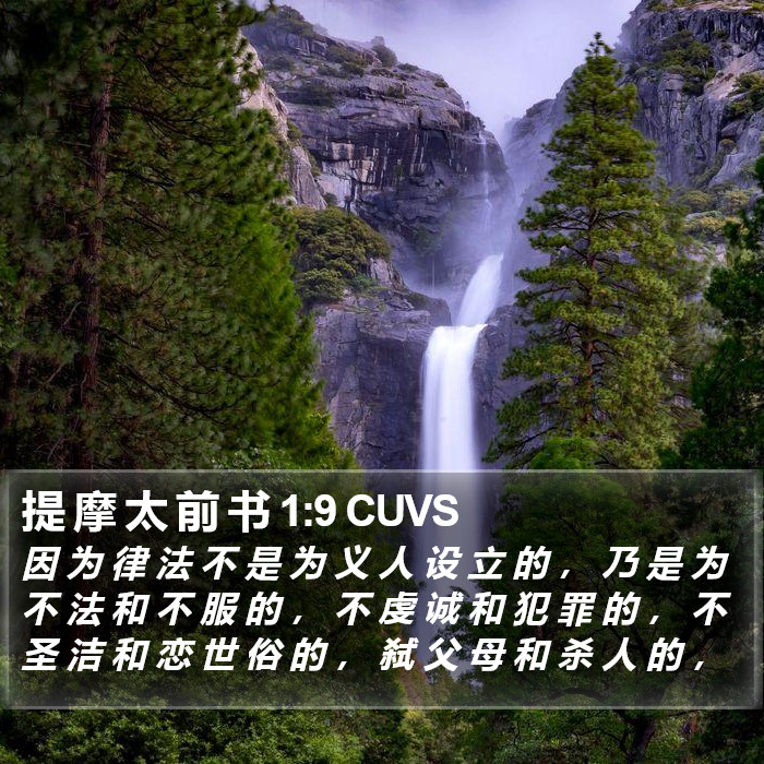 提 摩 太 前 书 1:9 CUVS Bible Study