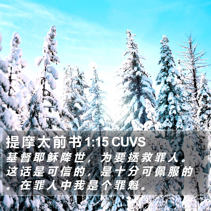 提 摩 太 前 书 1:15 CUVS Bible Study