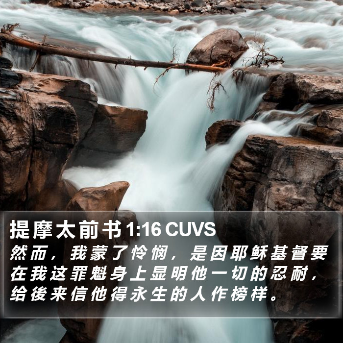 提 摩 太 前 书 1:16 CUVS Bible Study