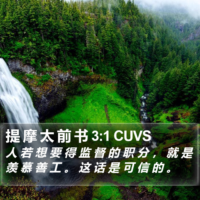 提 摩 太 前 书 3:1 CUVS Bible Study