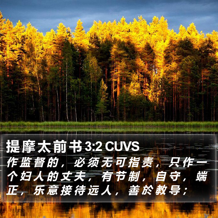 提 摩 太 前 书 3:2 CUVS Bible Study
