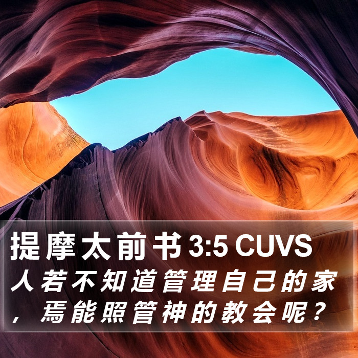 提 摩 太 前 书 3:5 CUVS Bible Study