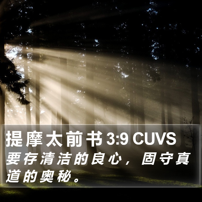提 摩 太 前 书 3:9 CUVS Bible Study