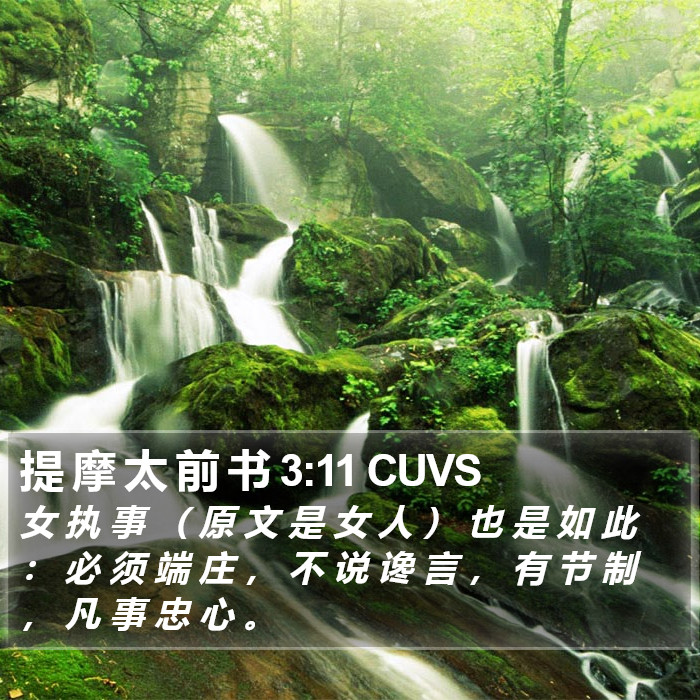 提 摩 太 前 书 3:11 CUVS Bible Study