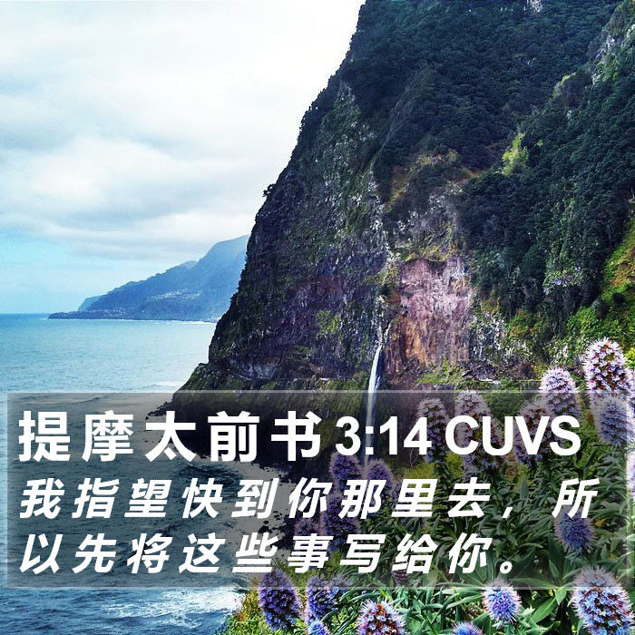 提 摩 太 前 书 3:14 CUVS Bible Study