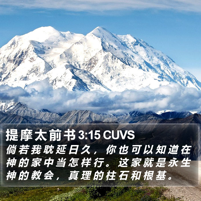 提 摩 太 前 书 3:15 CUVS Bible Study