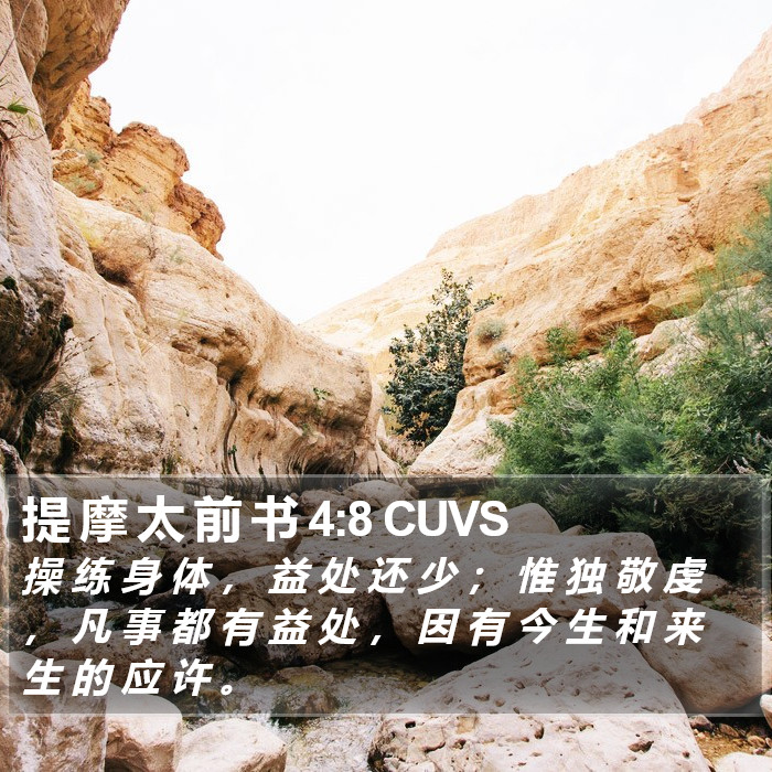 提 摩 太 前 书 4:8 CUVS Bible Study