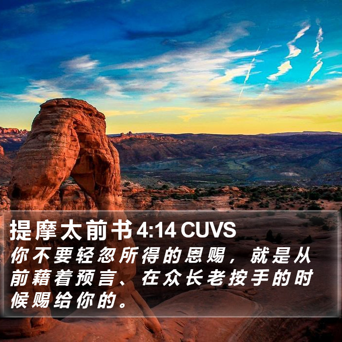 提 摩 太 前 书 4:14 CUVS Bible Study