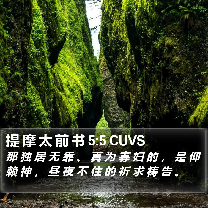 提 摩 太 前 书 5:5 CUVS Bible Study