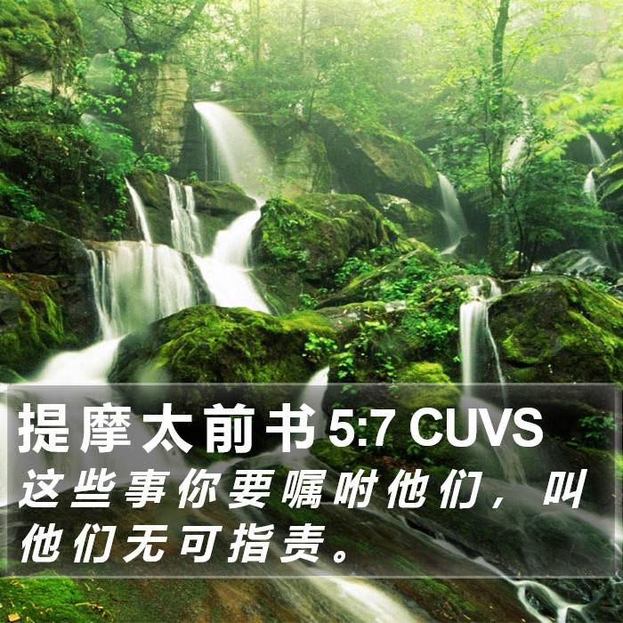 提 摩 太 前 书 5:7 CUVS Bible Study