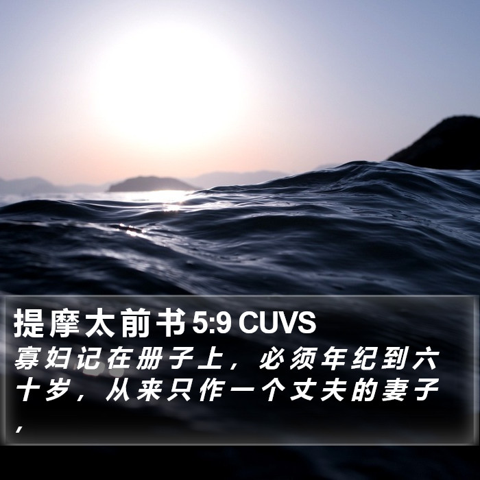 提 摩 太 前 书 5:9 CUVS Bible Study