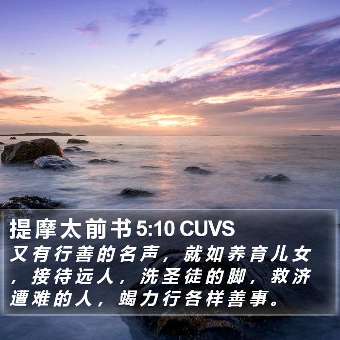 提 摩 太 前 书 5:10 CUVS Bible Study