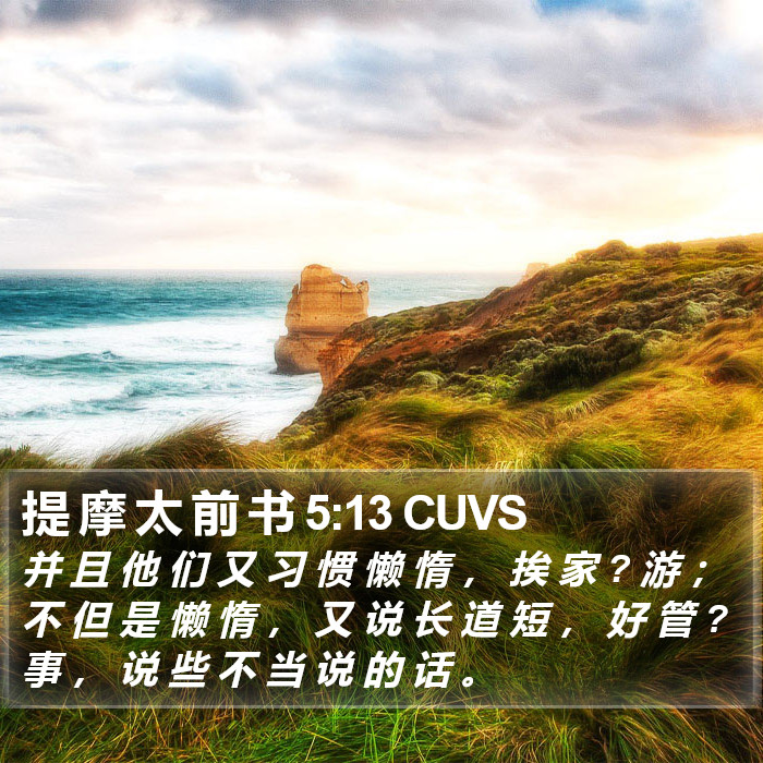 提 摩 太 前 书 5:13 CUVS Bible Study