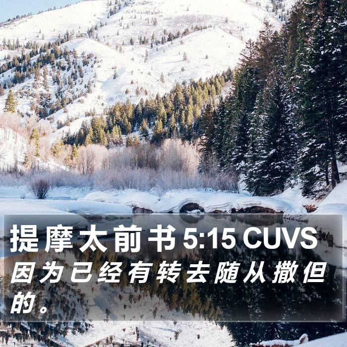 提 摩 太 前 书 5:15 CUVS Bible Study