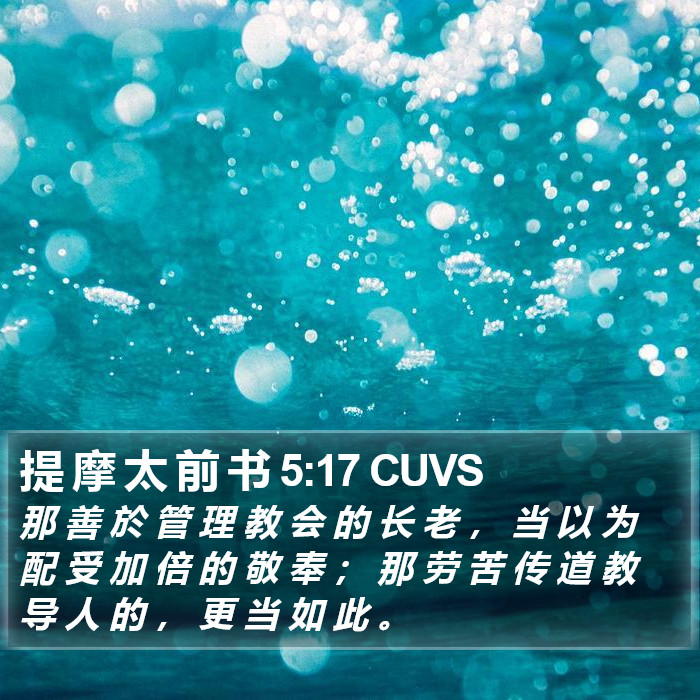 提 摩 太 前 书 5:17 CUVS Bible Study