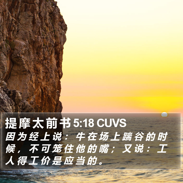 提 摩 太 前 书 5:18 CUVS Bible Study