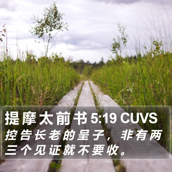 提 摩 太 前 书 5:19 CUVS Bible Study