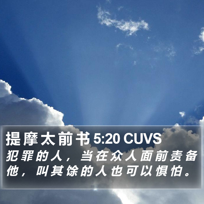 提 摩 太 前 书 5:20 CUVS Bible Study