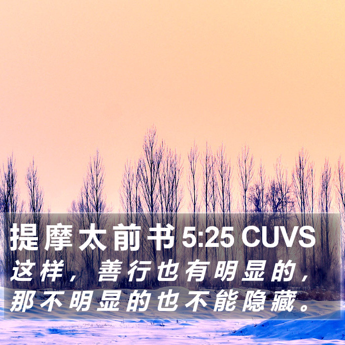 提 摩 太 前 书 5:25 CUVS Bible Study