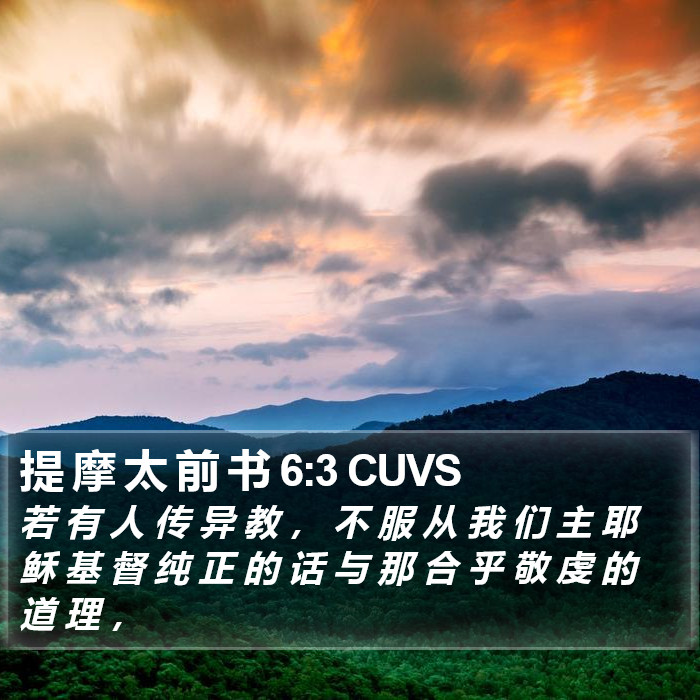 提 摩 太 前 书 6:3 CUVS Bible Study