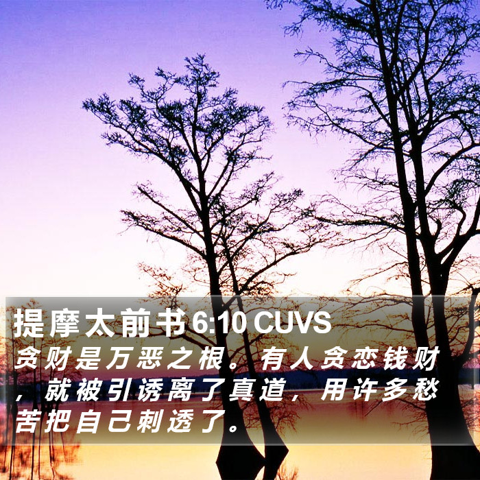 提 摩 太 前 书 6:10 CUVS Bible Study