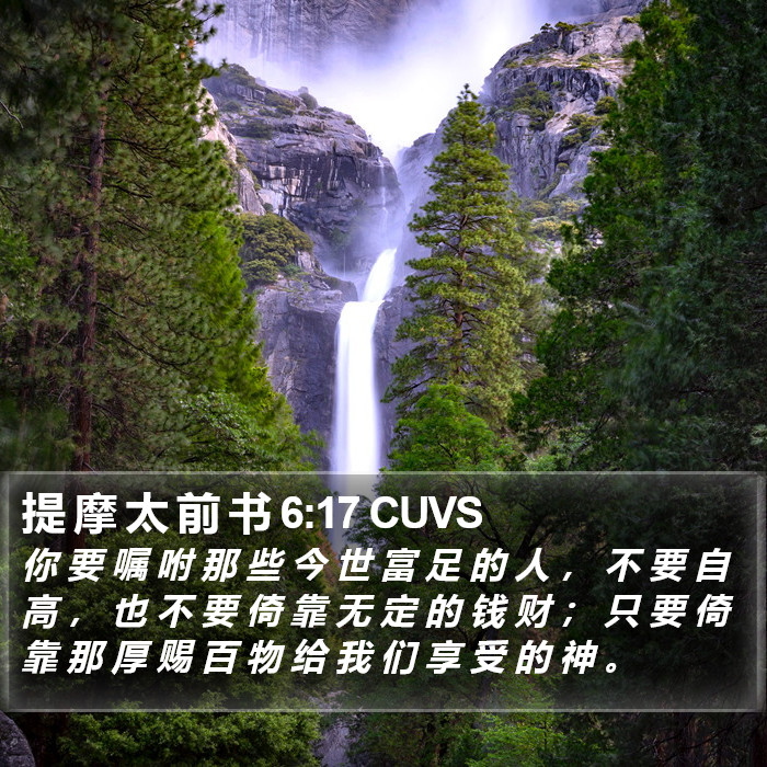 提 摩 太 前 书 6:17 CUVS Bible Study