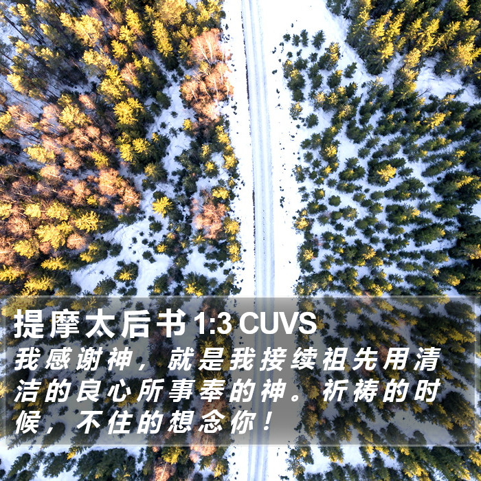 提 摩 太 后 书 1:3 CUVS Bible Study