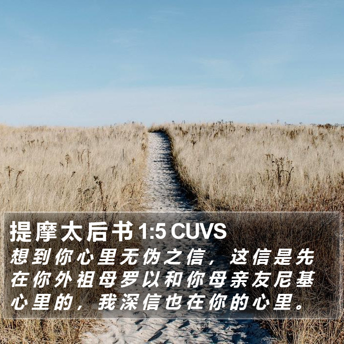 提 摩 太 后 书 1:5 CUVS Bible Study