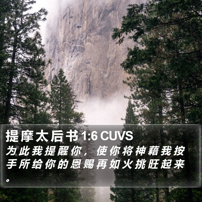 提 摩 太 后 书 1:6 CUVS Bible Study