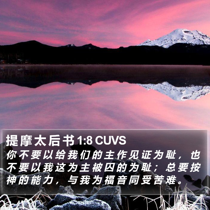 提 摩 太 后 书 1:8 CUVS Bible Study