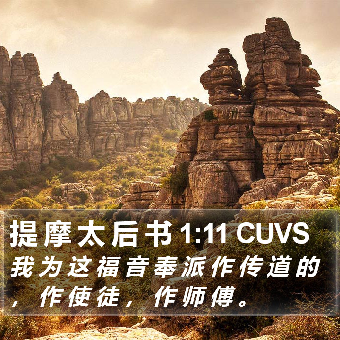 提 摩 太 后 书 1:11 CUVS Bible Study