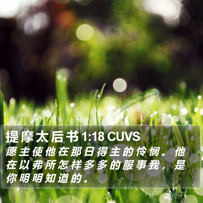 提 摩 太 后 书 1:18 CUVS Bible Study