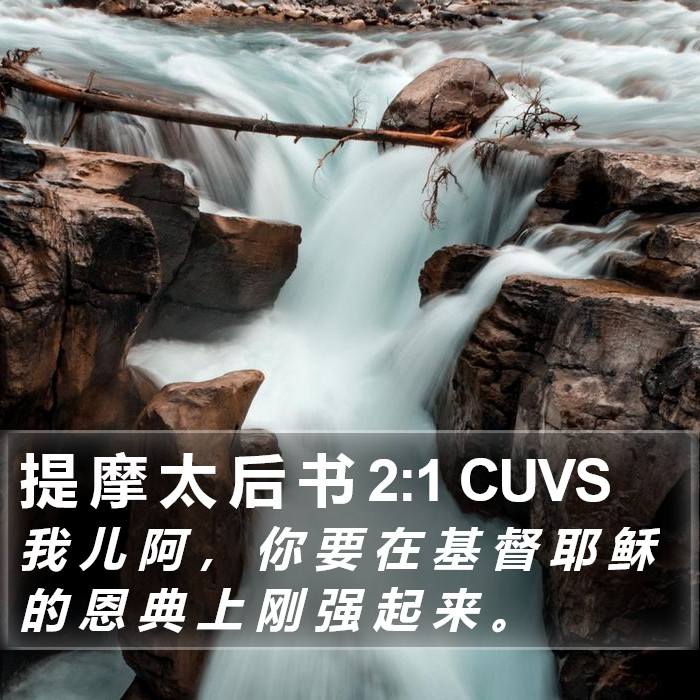 提 摩 太 后 书 2:1 CUVS Bible Study
